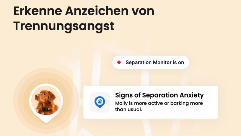 Trennungsangst in der Tractive App