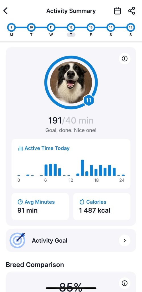 Activity Monitoring for dogs in the Tractive GPS app screenshot