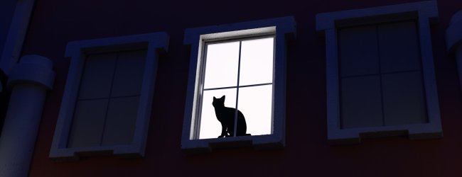 A cat meowing at night by a window