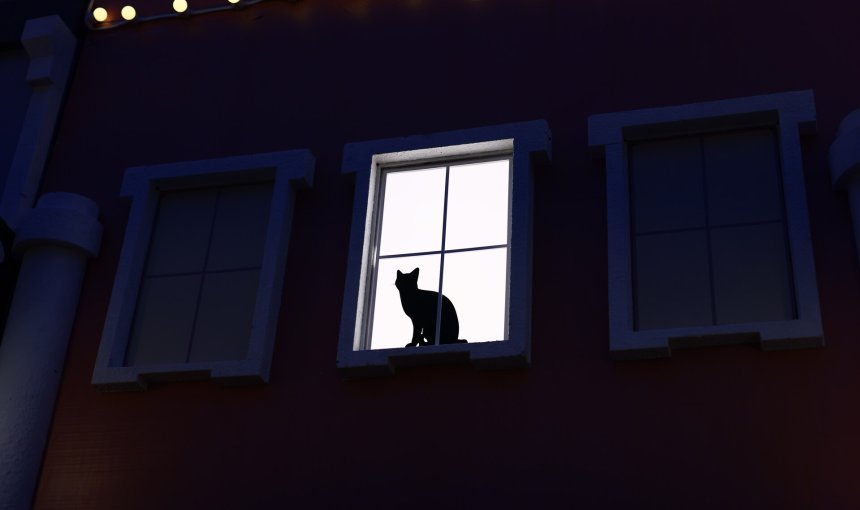 A cat meowing at night by a window