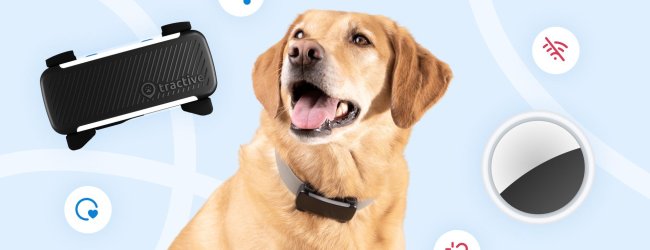 Tractive GPS Dog Tracker, dog, and Apple AirTag in a graphic header image for the Tractive blog