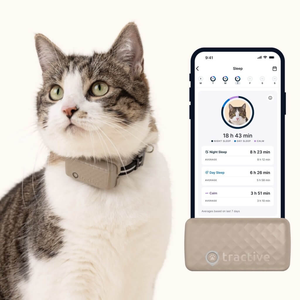 cat wearing cat gps tracker collar from Tractive; app screen showing sleep and activity tracking for cats