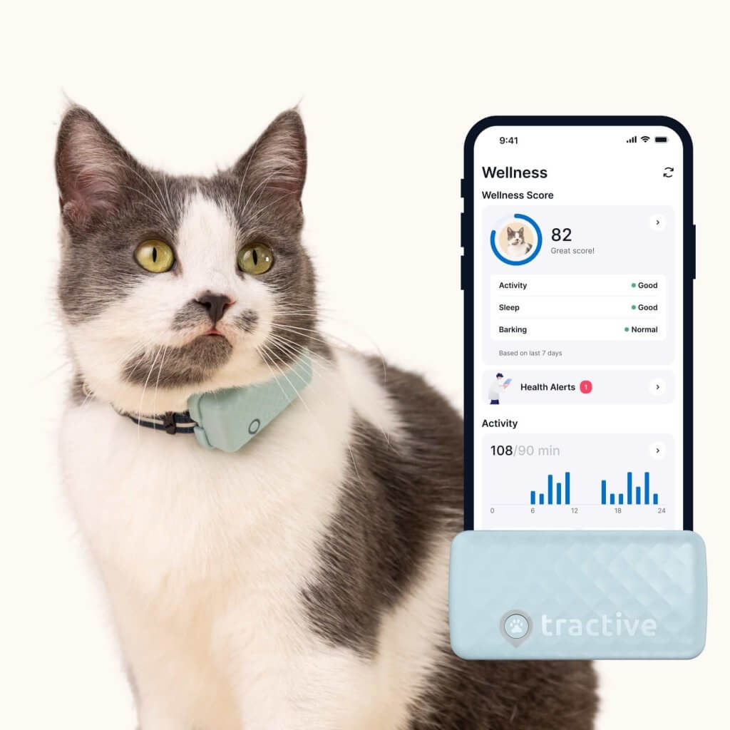 Cat wearing light blue Tractive GPS Cat tracker, app screen featuring health alerts for pets 