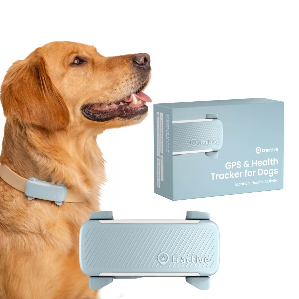 tractive dog tracker in mint