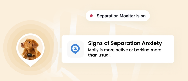 Separation Anxiety monitoring data on the Tractive mobile app