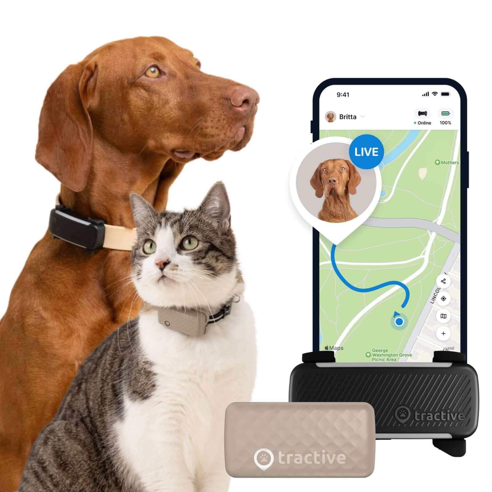dog and cat wearing tractive gps pet tracker
