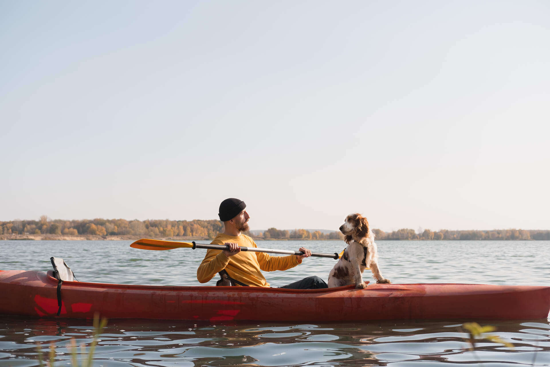 Your Ultimate Guide To Canoeing Or Kayaking With A Dog - Tractive