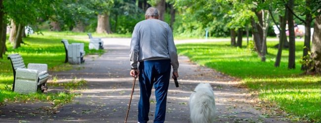 Älterer Mann geht mit Hund spazieren