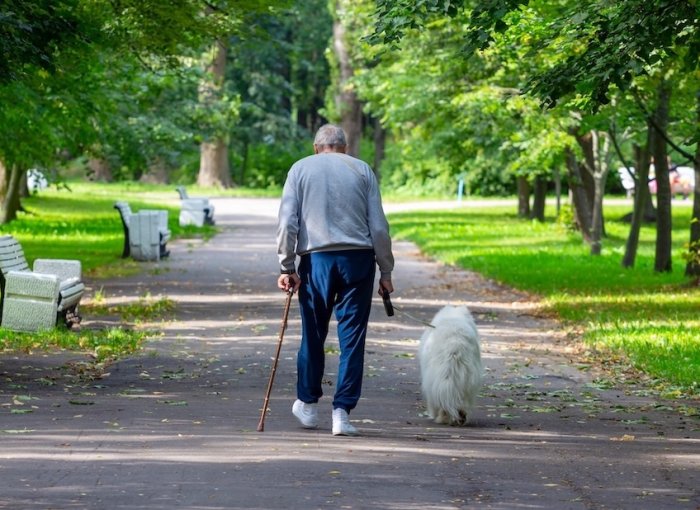 Älterer Mann geht mit Hund spazieren