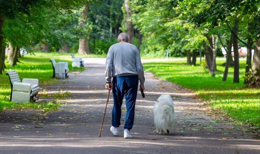 Älterer Mann geht mit Hund spazieren