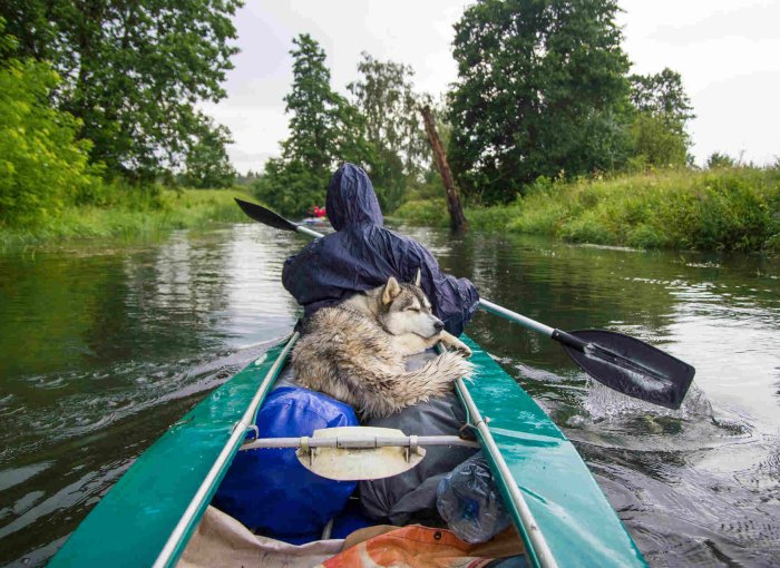Mann fährt Kanu mit seinem Husky