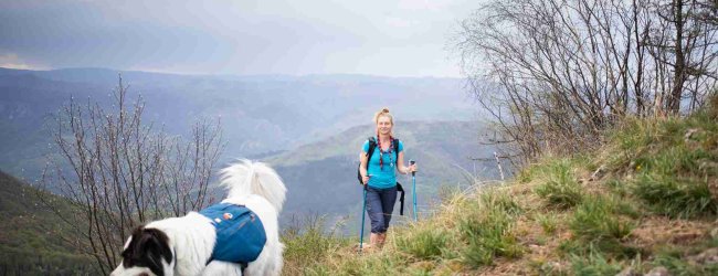 Frau wandert mit ihrem Hund ohne Leine.