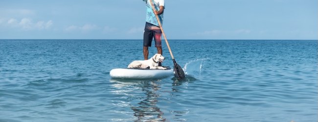 Mann paddelt mit seinem Hund auf dem Wasser