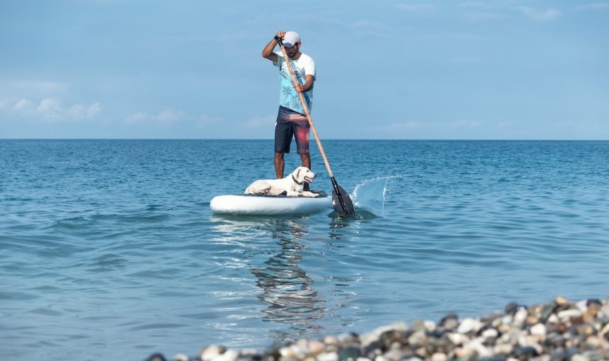 Mann paddelt mit seinem Hund auf dem Wasser