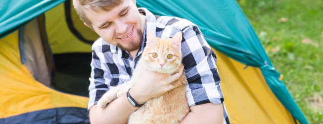 A man camping with a cat with a tent in the background