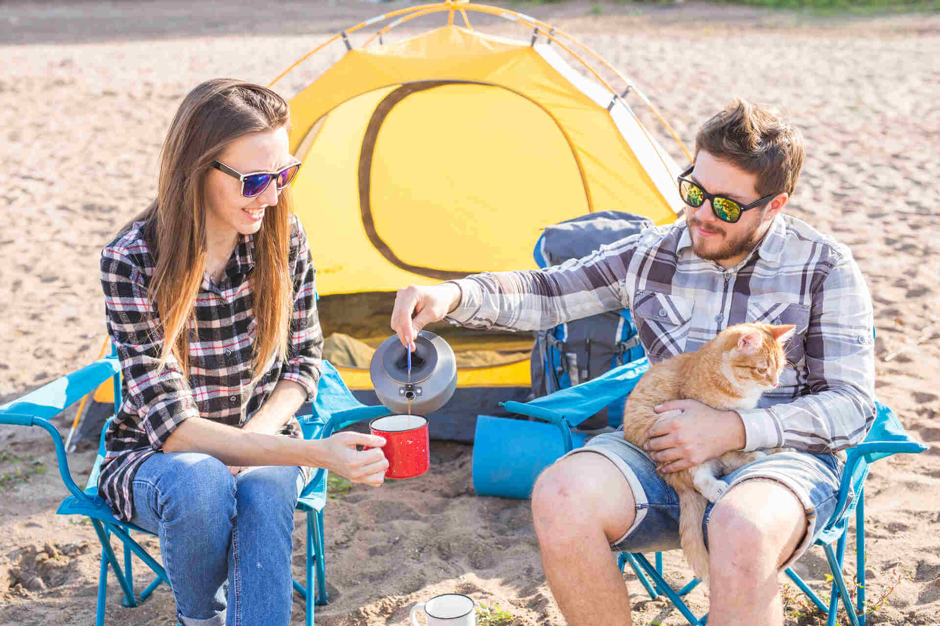 A young couple camping with a cat in summer