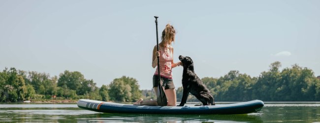 A woman paddle boarding with a dog in a river