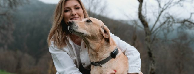 Un perro llevando un rastreador GPS y de salud Tractive
