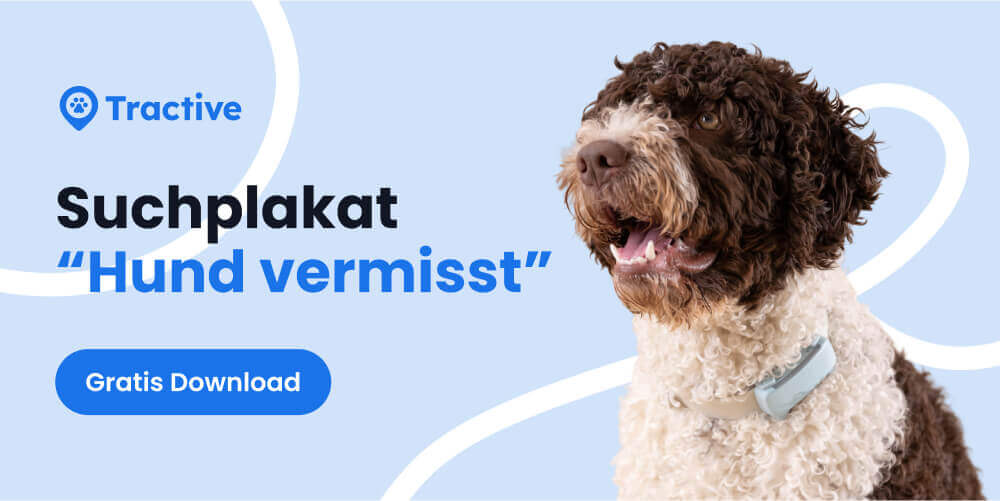 Hund vermisst - Suchplakatvorlage