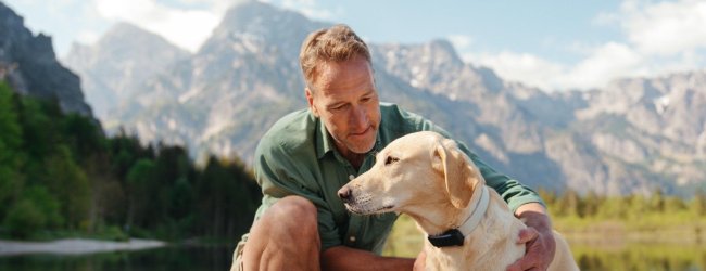 A dog wearing a Tractive GPS & Health tracker