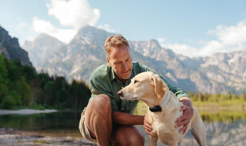 A dog wearing a Tractive GPS & Health tracker