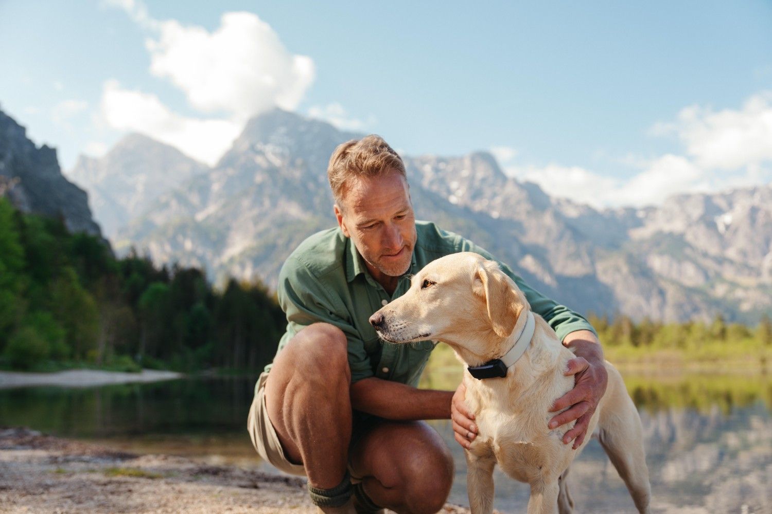 Strategies For Managing Anxiety In Dogs During Travel Reference: Managing Anxiety In Dogs Your Ultimate Guide