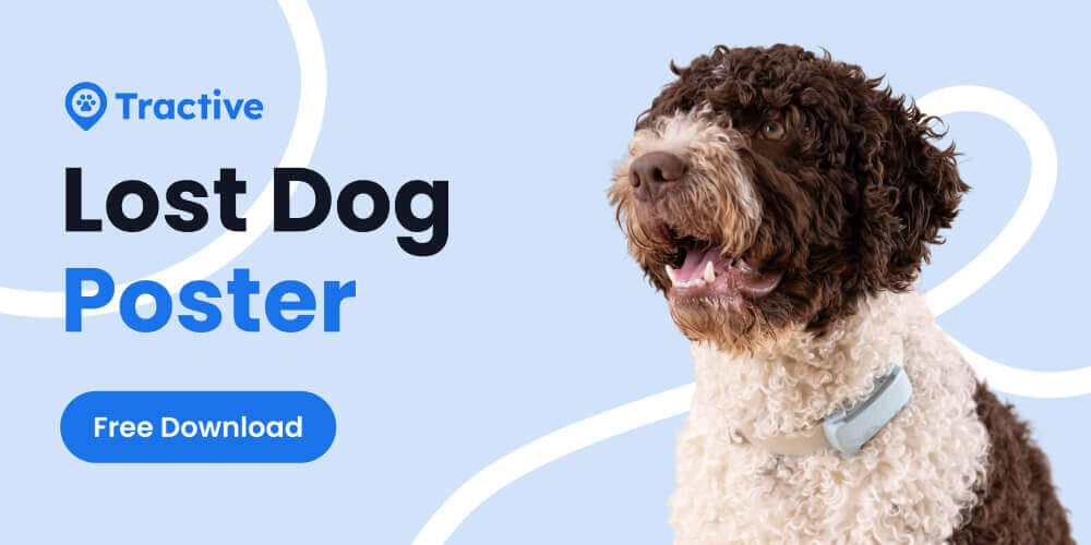 free lost dog poster from Tractive graphic