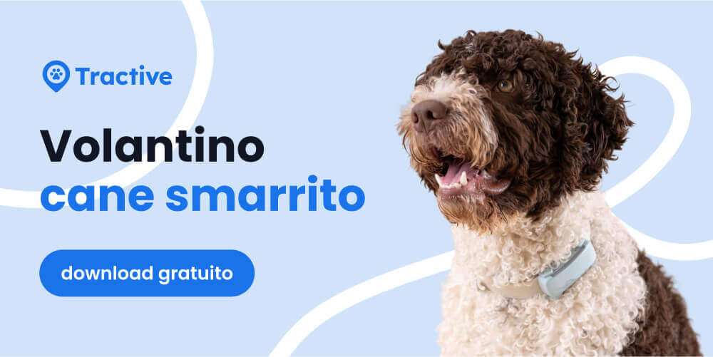 Volantino cane smarrito di Tractive da scaricare gratuitamente
