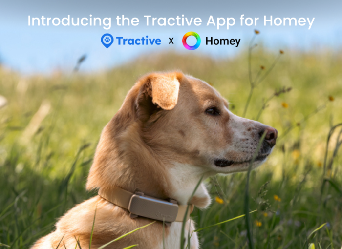 Dog outside with brown tracker + Tractive and Homey logo