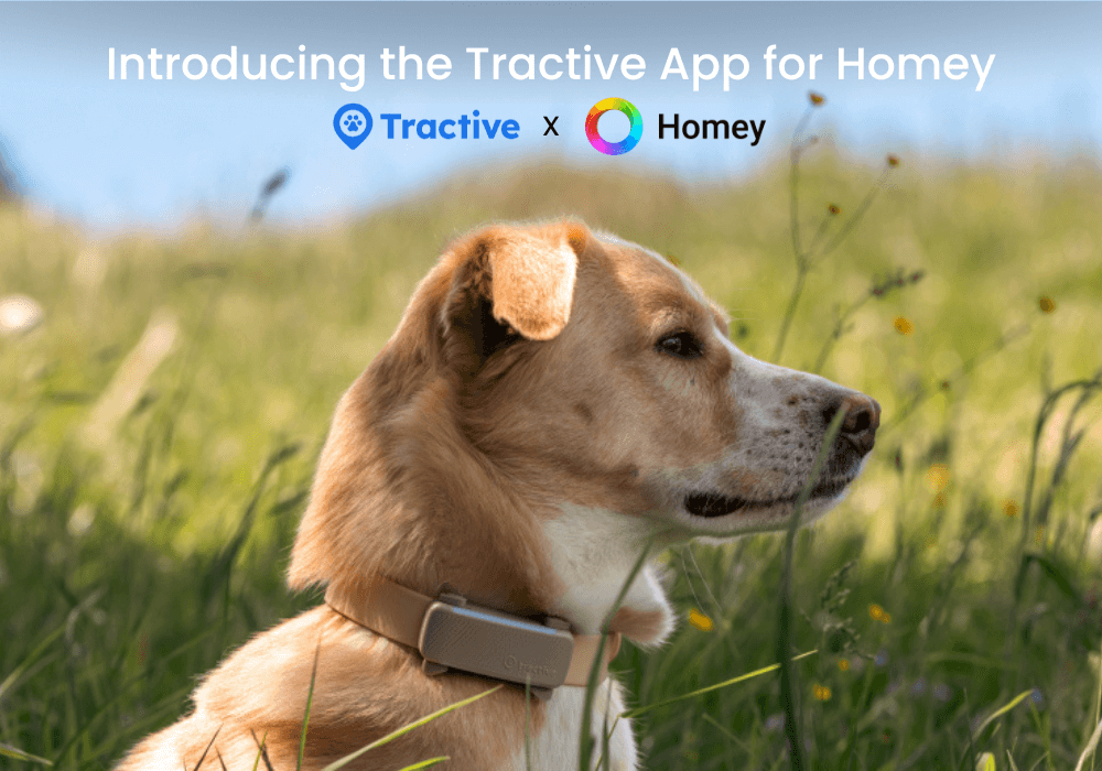 LG and Tractive Partner to Bring Pet Safety to the Homey Smart Home Platform
