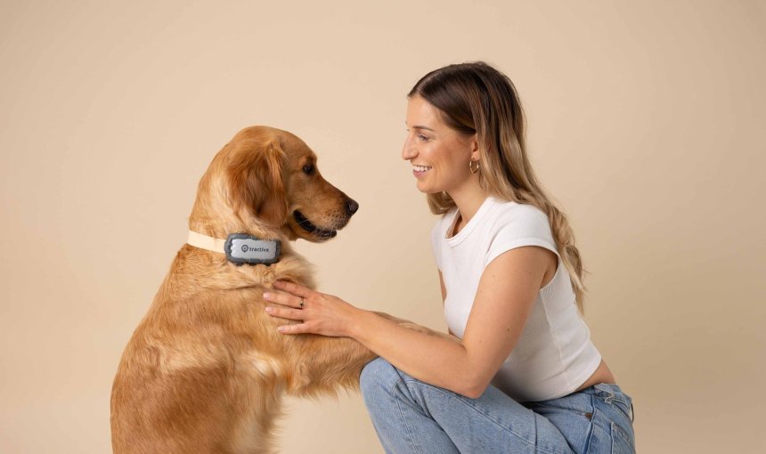 Ein Hund trägt einen Tractive GPS & Health Tracker