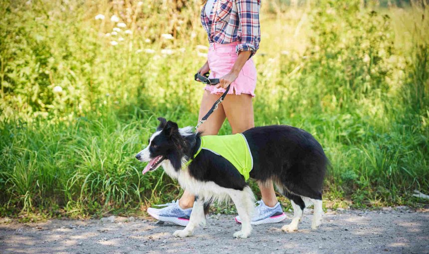 A woman walking her dog on a leash