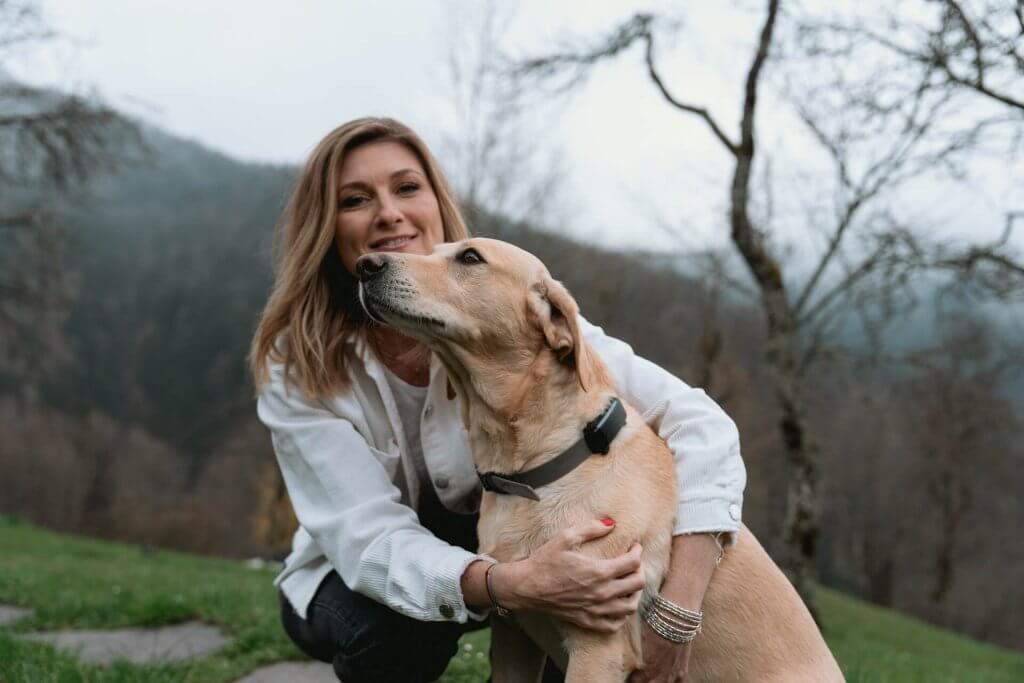 A dog wearing a Tractive GPS & Health tracker