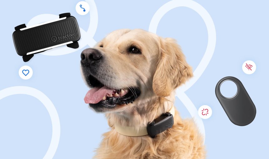 Infografik von Tractive: Samsung SmartTag vs. Tractive GPS Smart Tracker für Hunde und Katzen