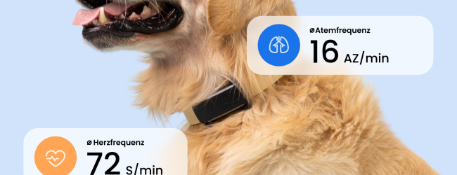 Hund mit schwarzem DOG 6 Tracker und Anzeige der Herz- und Atemfrequenz
