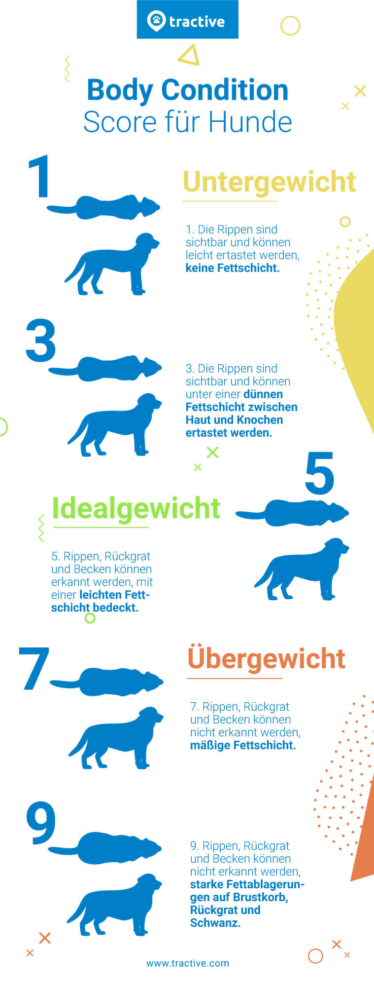 BMI für Hunde