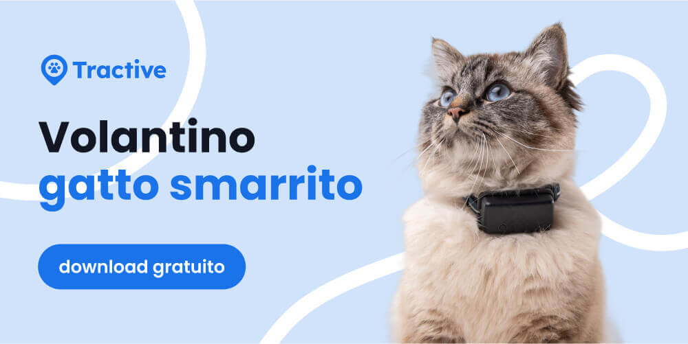 Volantino gatto smarrito di Tractive da scaricare gratuitamente