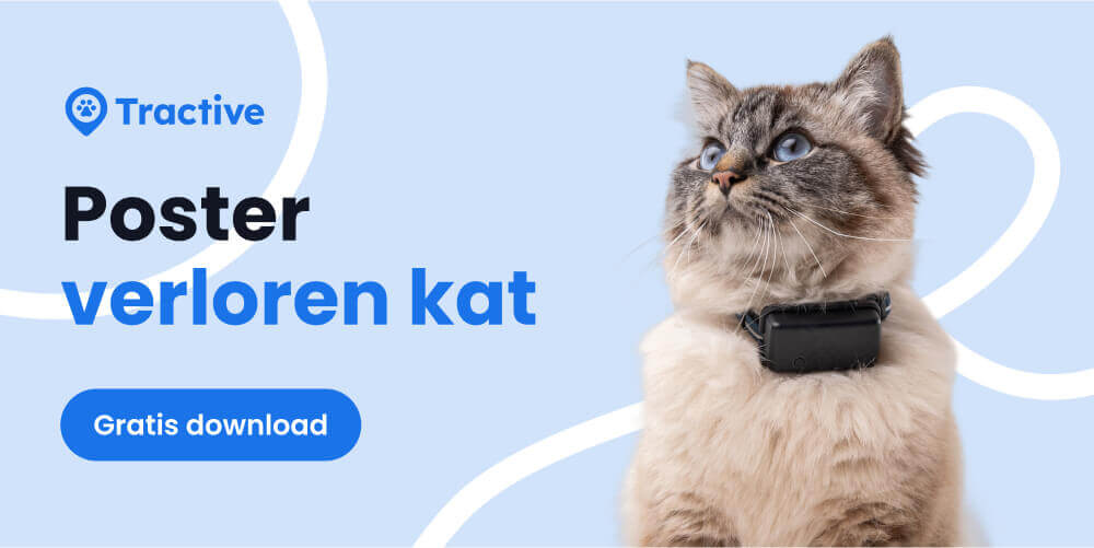 Flyer voor vermiste katten gratis te downloaden via Tractive