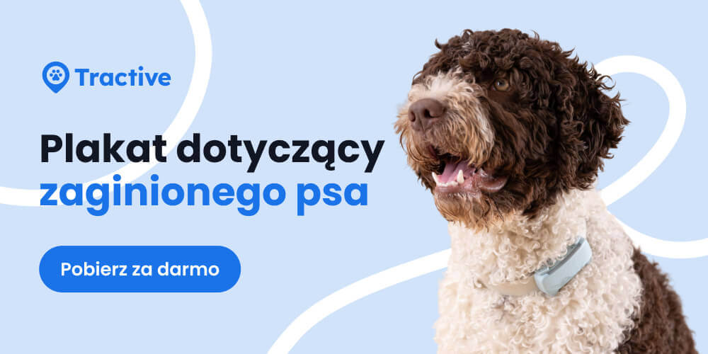 darmowy plakat informujący o zaginięciu psa z logo Tractive
