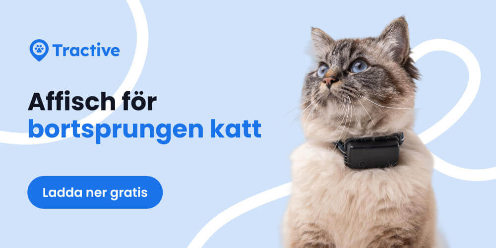 Banner, ladda ner kostnadsfri mall till affisch för bortsprungen katt från Tractive