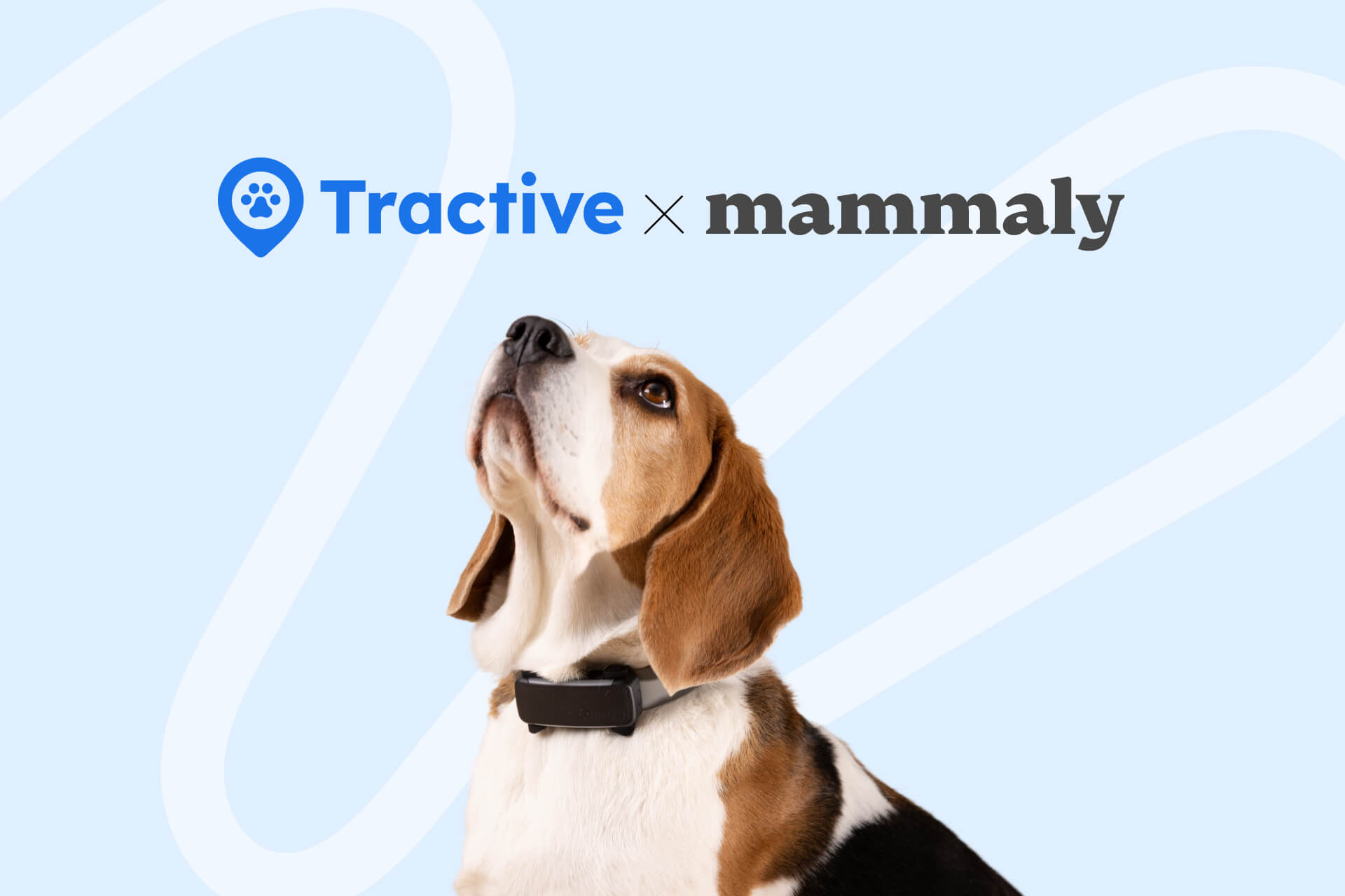 Tractive and mammaly launch partnership for data-based health optimization for dogs