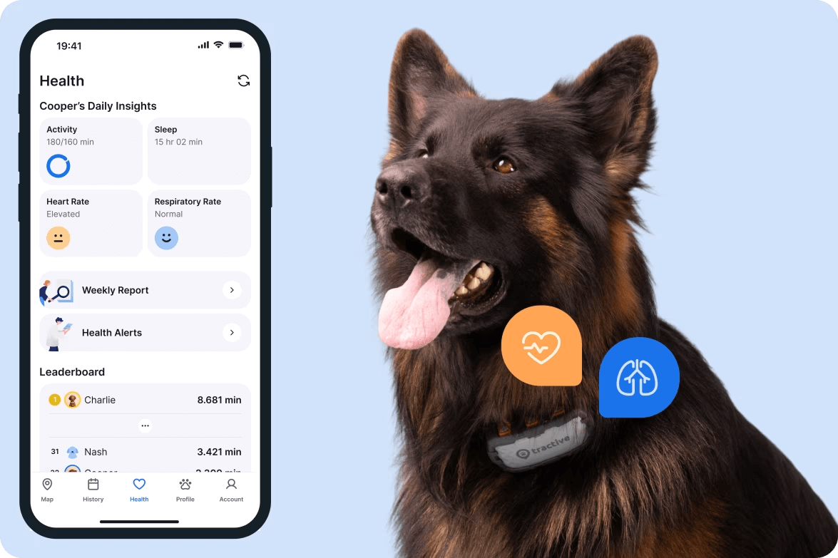 A dog's Health Monitoring data on the Tractive mobile app