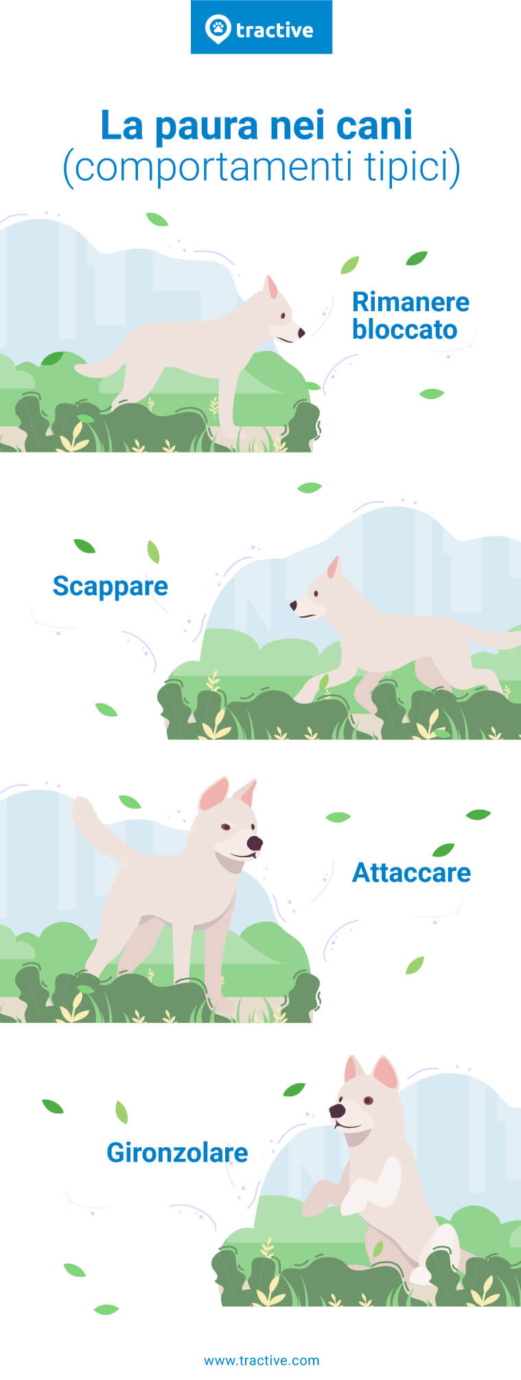 Le quattro fasi della paura nei cani - infografica di tractive