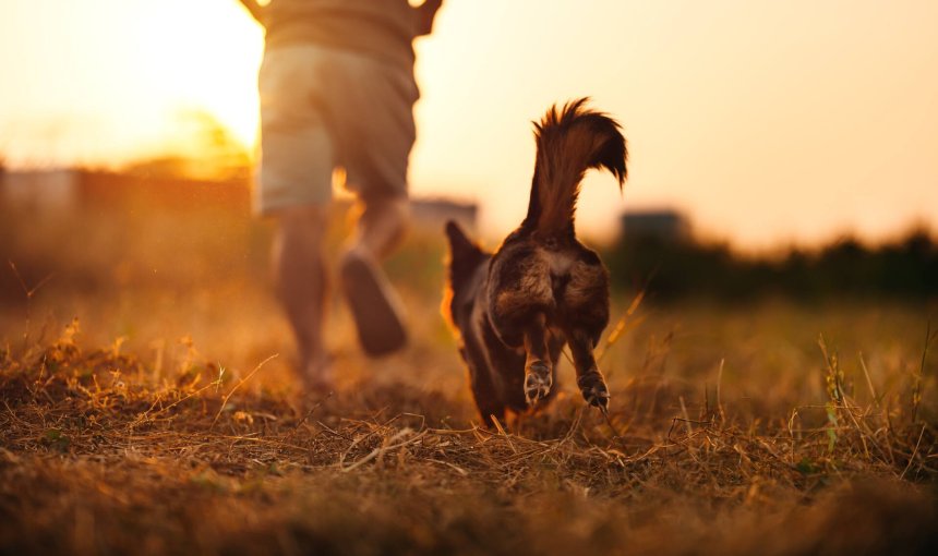 A dog running through a field with its owner