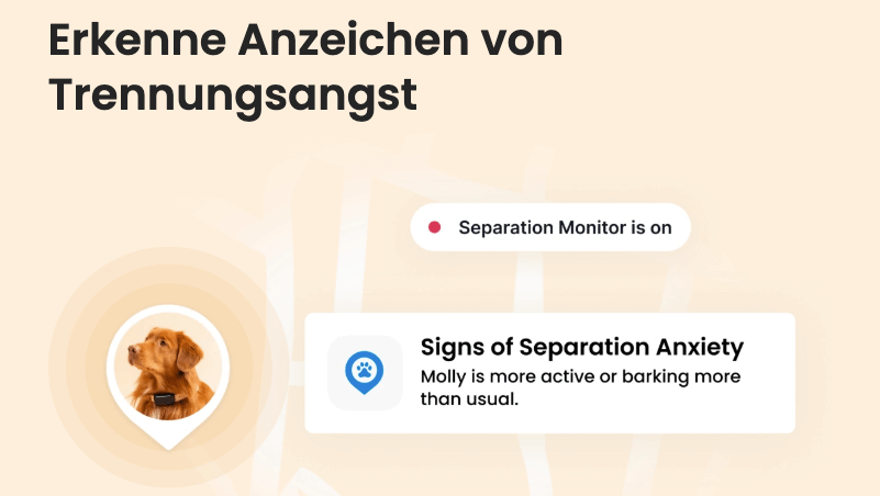 Trennungsangst Feature