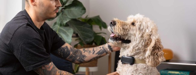 A man sitting with a dog wearing a Tractive GPS & Health tracker