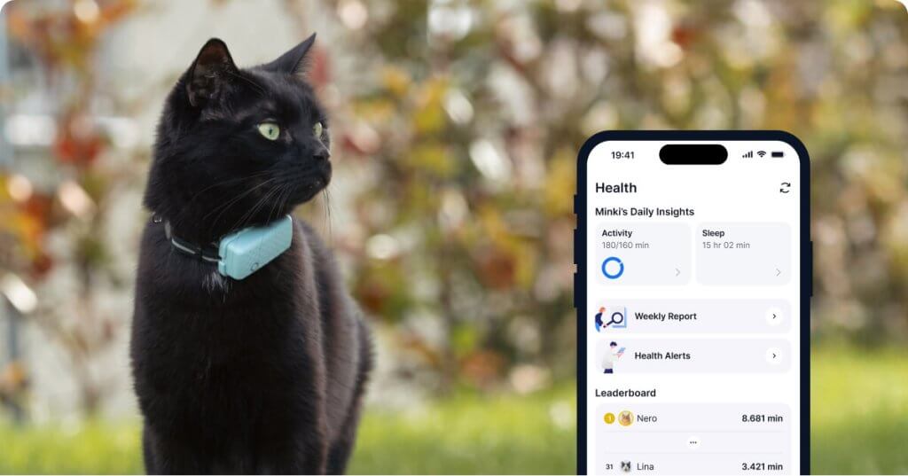 A cat wearing the Tractive smart cat collar with its Health Monitoring data