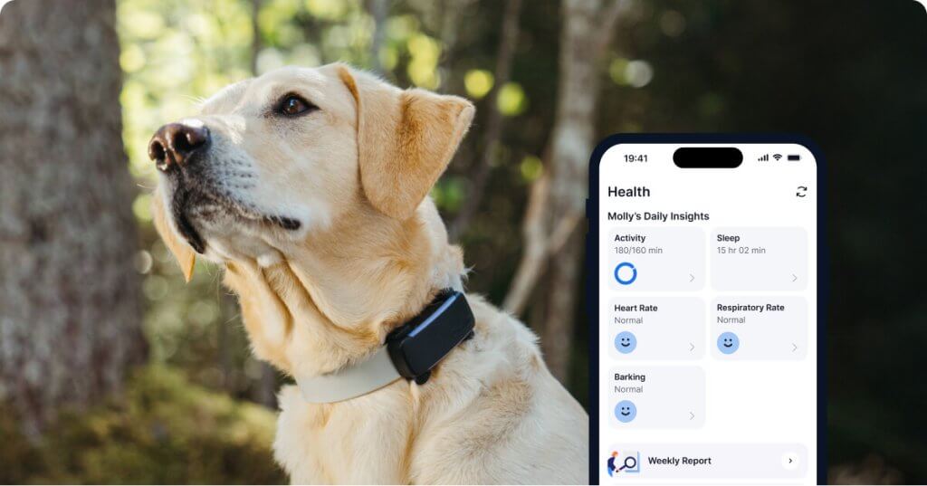 A dog's Health Monitoring data on the Tractive mobile app