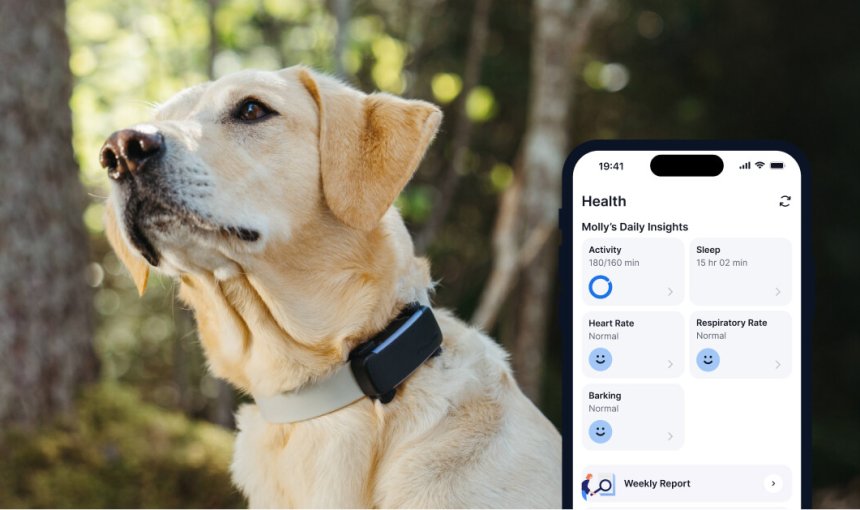 A dog's Health Monitoring data on the Tractive mobile app