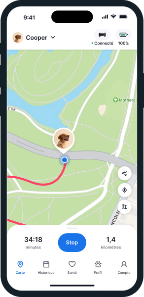 Écran de l'application du traceur Tractive pour chiens fonction de suivi en direct